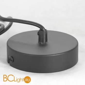 Подвесной светильник Lussole Loft Kodiak LSP-8416 - Фото 3