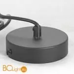 Подвесной светильник Lussole Loft Kodiak LSP-8416 - Фото 3