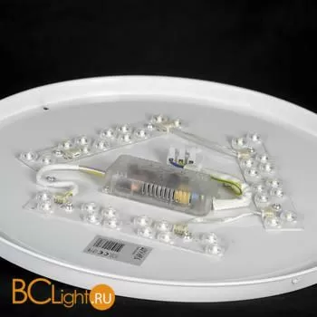 Потолочный светильник Lussole LOFT LSP-8468 - Фото 2