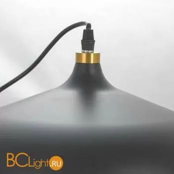 Подвесной светильник Lussole LOFT LSP-8454 - Фото 2