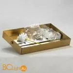 Настенный светильник Lussole LOFT LSP-8480 - Фото 3