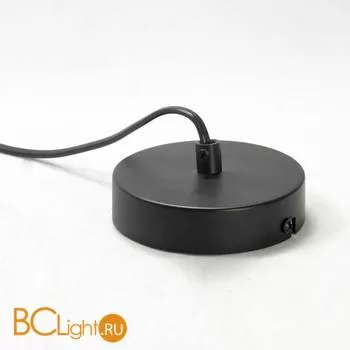 Подвесной светильник Lussole Loft Log LSP-9530 - Фото 1