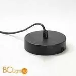 Подвесной светильник Lussole Loft Log LSP-9530 - Фото 1