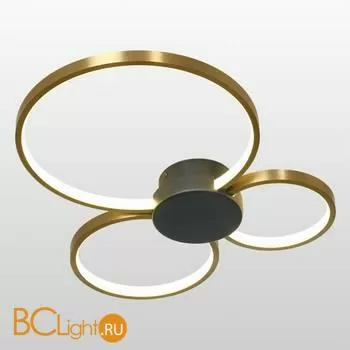 Люстра Lussole Loft LOWELL LSP-7112