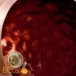 Подвесной светильник Lussole Mars LSP-9619 - Фото 3