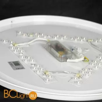 Потолочный светильник Lussole Loft Milazzo LSP-8466 - Фото 2