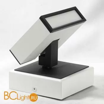 Потолочный светильник Lussole Loft Misato LSP-8012 - Фото 2