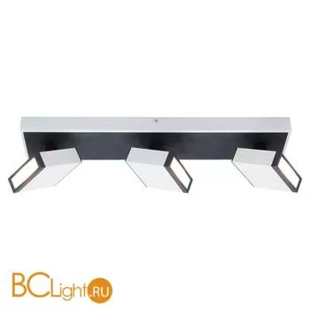 Потолочный светильник Lussole Loft Misato LSP-8013