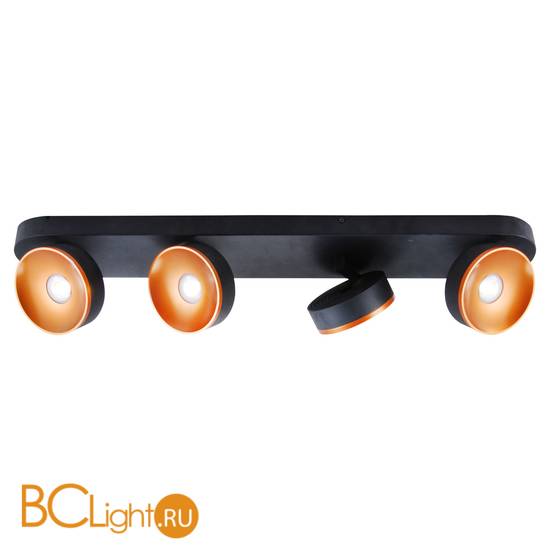 Потолочный светильник Lussole Loft Misato LSP-8018