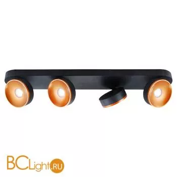 Потолочный светильник Lussole Loft Misato LSP-8018