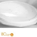 Потолочный светильник Lussole Loft Moonlight LSP-8317 - Фото 1