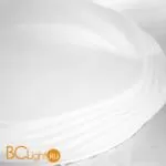 Потолочный светильник Lussole Loft Moonlight LSP-8316 - Фото 0