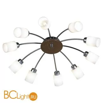Потолочная люстра Lussole Loft Multi LSP-8671