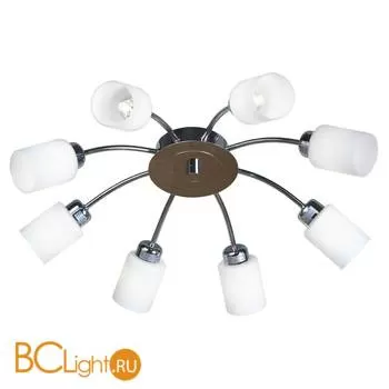 Потолочная люстра Lussole Loft Multi LSP-8678