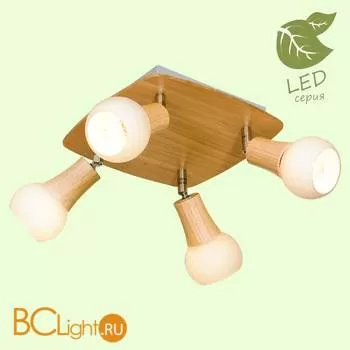Потолочный светильник Lussole Loft Natural GRLSP-0121