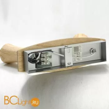 Спот (точечный светильник) Lussole Natural LSP-0120 - Фото 2