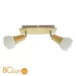 Спот (точечный светильник) Lussole Natural LSP-0120