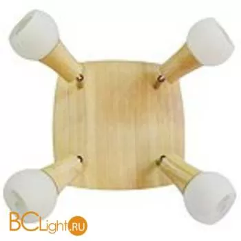 Спот (точечный светильник) Lussole Natural LSP-0121