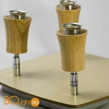 Спот (точечный светильник) Lussole Natural LSP-0121 - Фото 0