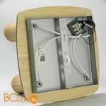 Спот (точечный светильник) Lussole Natural LSP-0121 - Фото 3