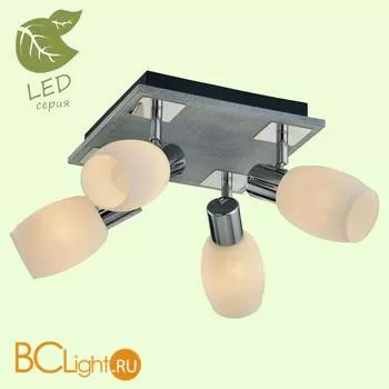 Потолочный светильник Lussole Loft Office GRLSP-0052