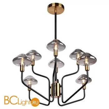 Люстра Lussole Loft Ontario LSP-8293