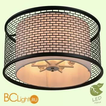 Потолочный светильник Lussole Loft Orient GRLSP-9676