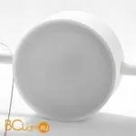 Подвесной светильник Lussole Loft Pickwick LSP-8153 - Фото 4