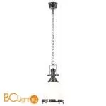 Подвесной светильник Lussole Plant LSP-9613 - Фото 0