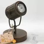 Спот (точечный светильник) Lussole Pointer LSP-9131 - Фото 0