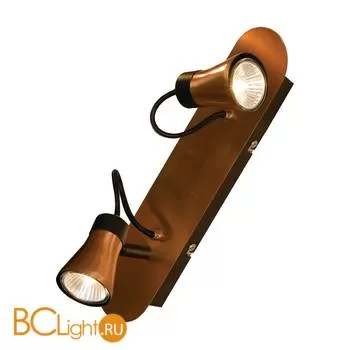 Спот (точечный светильник) Lussole Projector LSL-6801-02