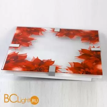 Настенный светильник Lussole Red LSN-5262-01 - Фото 2