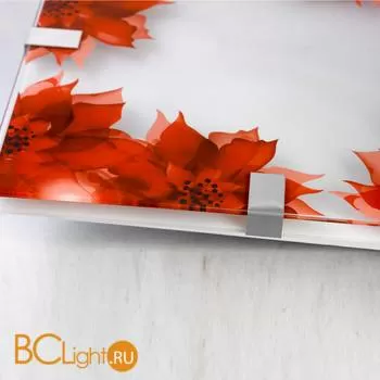 Настенный светильник Lussole Red LSN-5262-01 - Фото 1