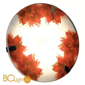 Настенный светильник Lussole Red LSN-5252-01