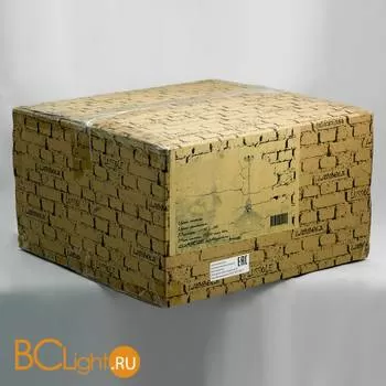 Подвесной светильник Lussole Reflex LSP-0209 - Фото 4