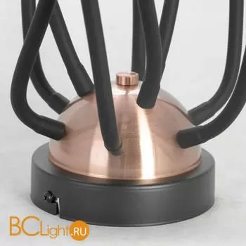 Люстра Lussole Loft Regina LSP-8247 - Фото 0