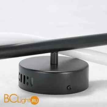 Бра Lussole Loft RIVER LSP-8902 - Фото 2