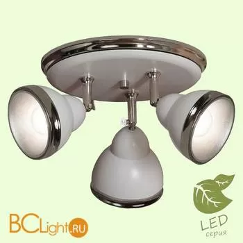 Потолочный светильник Lussole Loft Sara GRLSN-6211-03