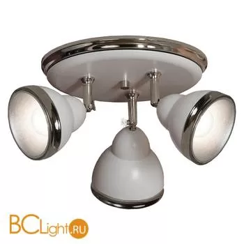 Спот (точечный светильник) Lussole Loft Sara LSN-6211-03