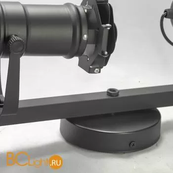 Спот Lussole Loft Scorpio LSP-8076 - Фото 2