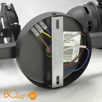 Спот Lussole Loft Scorpio LSP-8076 - Фото 4