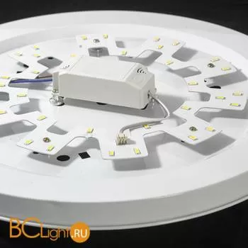 Потолочный светильник Lussole Seaweed LSN-0922-01 - Фото 1