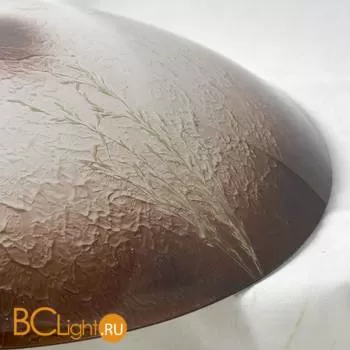 Потолочный светильник Lussole Seaweed LSN-0912-01 - Фото 3