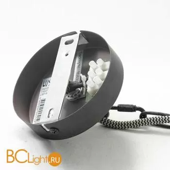 Подвесной светильник Lussole Loft Statue LSP-9949 - Фото 4