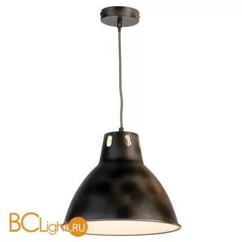 Подвесной светильник Lussole Loft Statue LSP-9504 - Фото 0