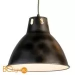 Подвесной светильник Lussole Loft Statue LSP-9504