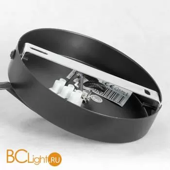 Подвесной светильник Lussole Loft Strawberry LSP-8212 - Фото 3