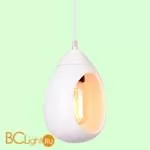 Подвесной светильник Lussole Loft Tanaina GRLSP-8034