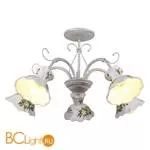 Потолочная люстра Lussole Tea-set LSP-0155