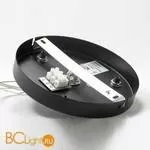 Подвесной светильник Lussole Loft Tree LSP-9950 - Фото 5